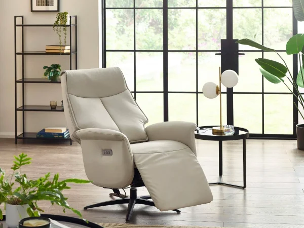 Sofie Dual Recliner - Grey